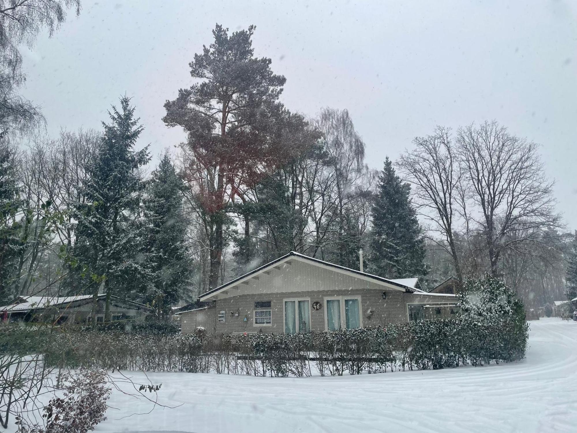 Chalet Sint-Hubertus ズテンダール エクステリア 写真
